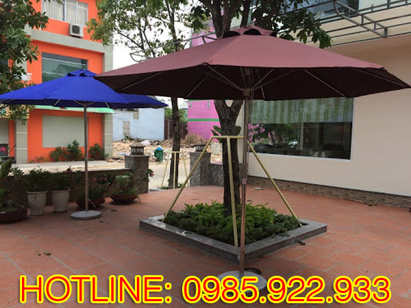 Mẫu dù che giá siêu rẻ Tân Tiến 01