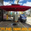 Mẫu dù che thông dụng Tân Tiến 06