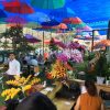 Mai xep quan cafe tao khong gian kinh doanh dep mat